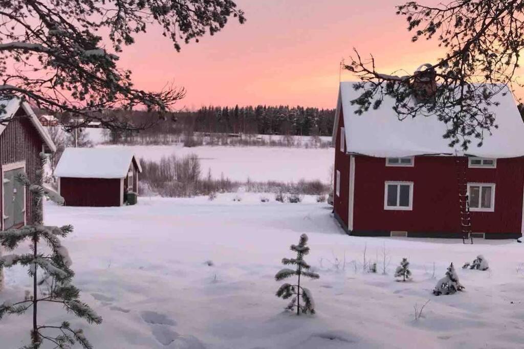 Cozy Home With Lake View-Free Wifi - Free Sauna Överkalix Exterior foto